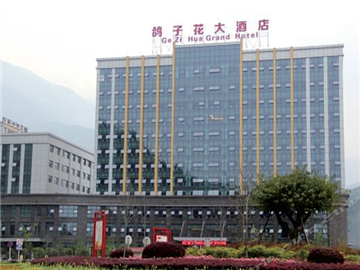 鴿子(zǐ)花大(dà)酒店